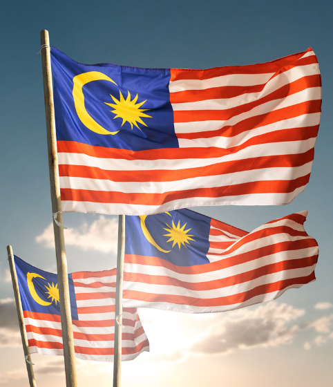 Malaysia Business Support